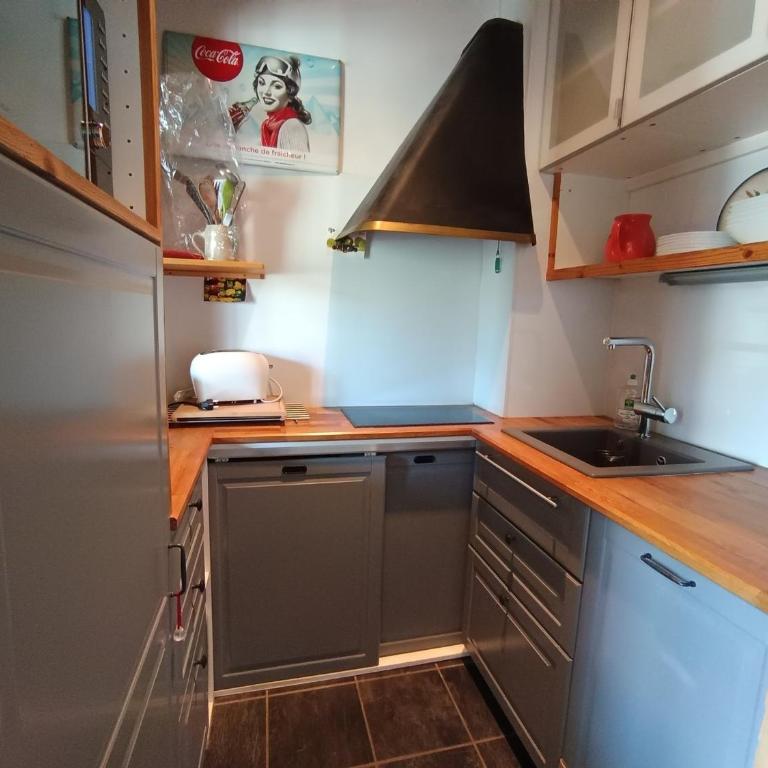 Studio cosy 4 pers, proche pistes, belle vue Janus - FR-1-445-47 - Studio - 4