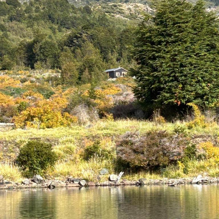 Cabaña lago tranquilo, camino valle exploradores - One-Bedroom House - 15