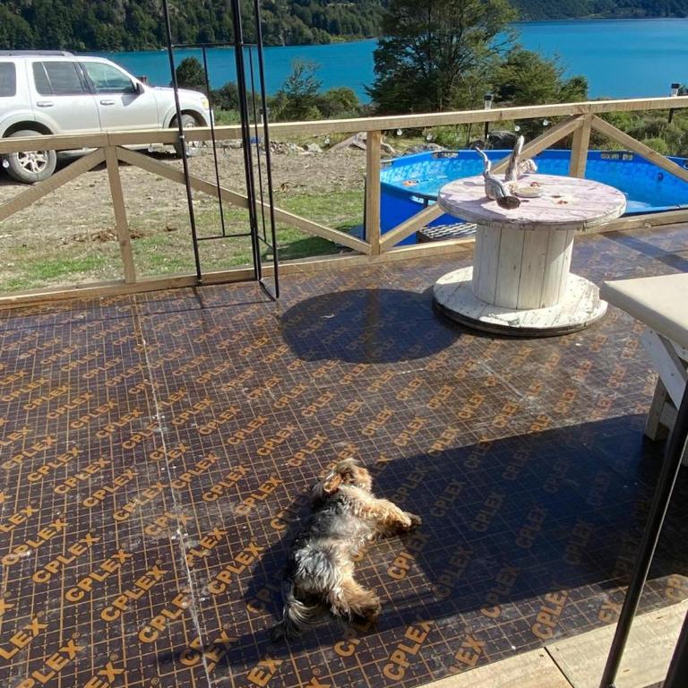 Cabaña lago tranquilo, camino valle exploradores - One-Bedroom House - 23