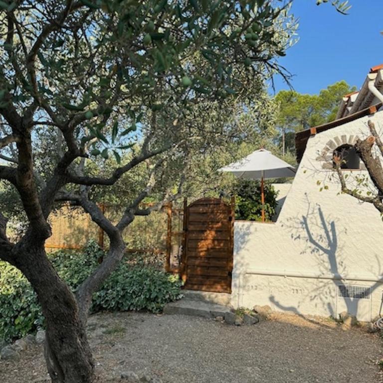 Les Pervenches - B&B Cottages en Lorgues - Suite avec Terrasse - 10