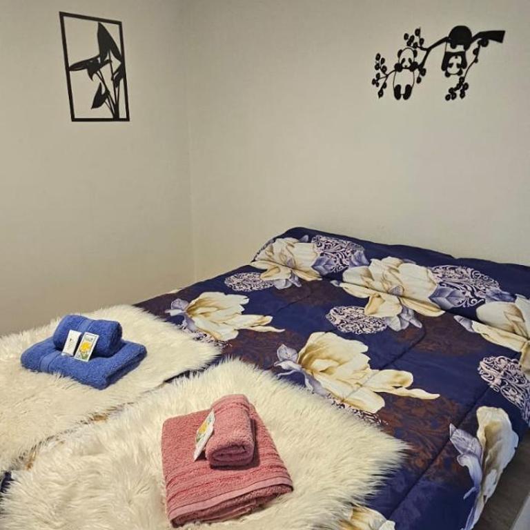 Bolsón Departamento céntrico - One-Bedroom Apartment - 2