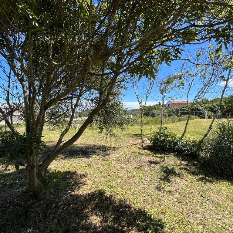 Sin FIN - Three-Bedroom House - 41