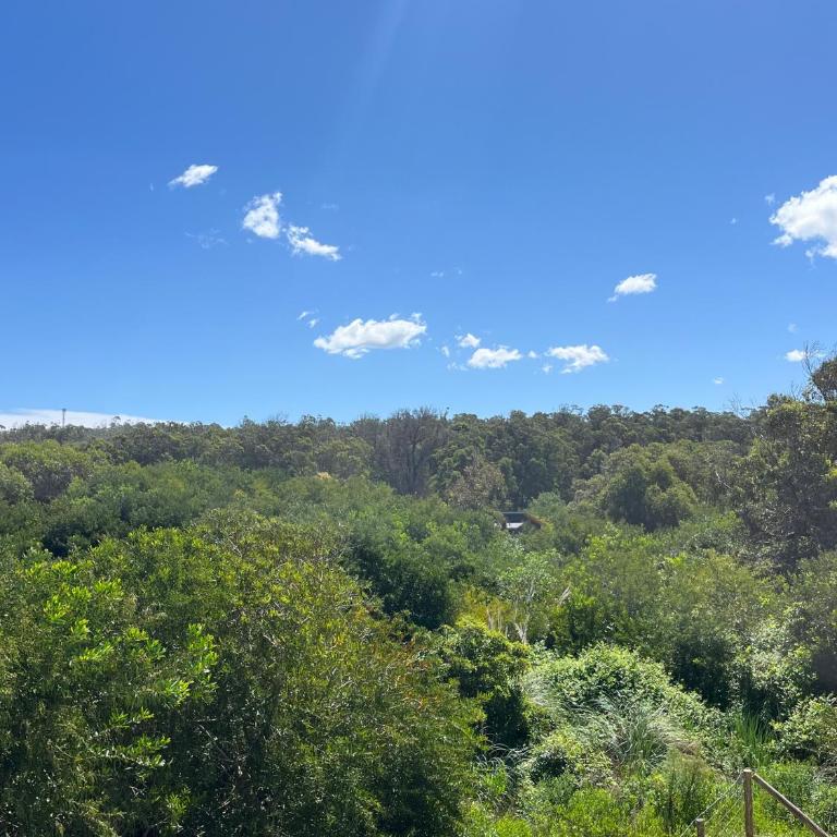 Sin FIN - Three-Bedroom House - 42