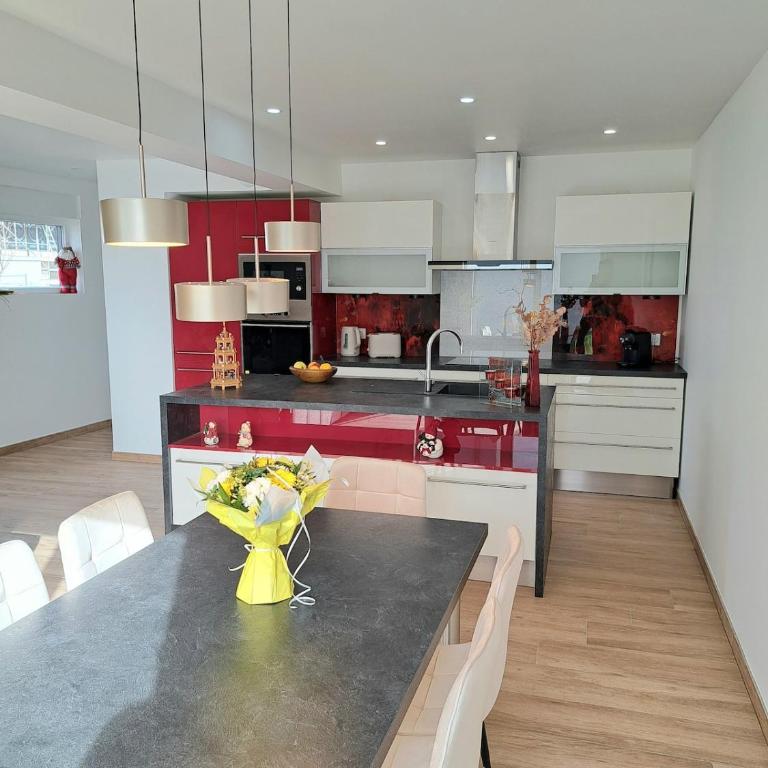 Chez Fernand à Colmar Maison neuve tout confort avec jardin et parking inclus - Maison de Vacances - 13