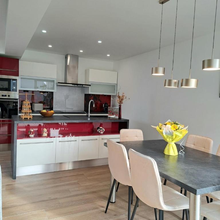 Chez Fernand à Colmar Maison neuve tout confort avec jardin et parking inclus - Maison de Vacances - 18