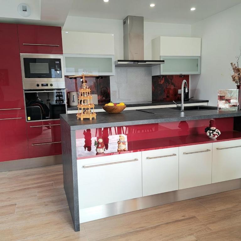 Chez Fernand à Colmar Maison neuve tout confort avec jardin et parking inclus - Maison de Vacances - 20