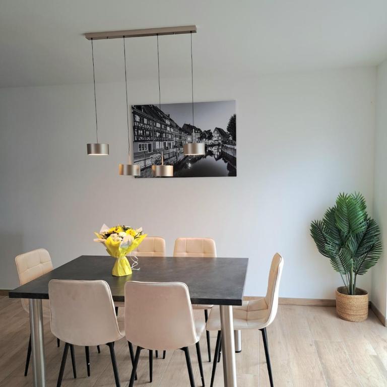Chez Fernand à Colmar Maison neuve tout confort avec jardin et parking inclus - Maison de Vacances - 22
