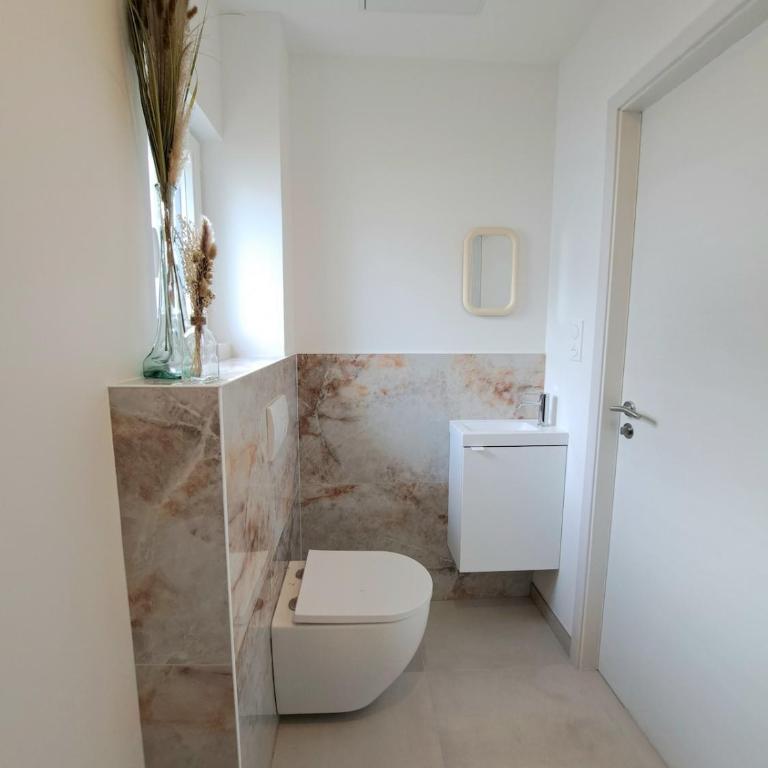 Chez Fernand à Colmar Maison neuve tout confort avec jardin et parking inclus - Maison de Vacances - 23
