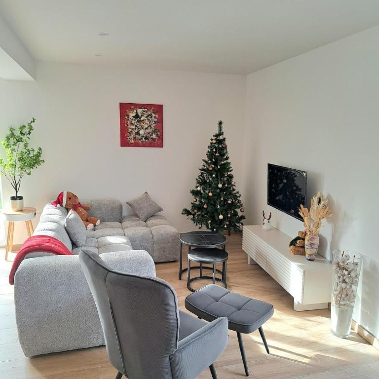Chez Fernand à Colmar Maison neuve tout confort avec jardin et parking inclus - Maison de Vacances - 25