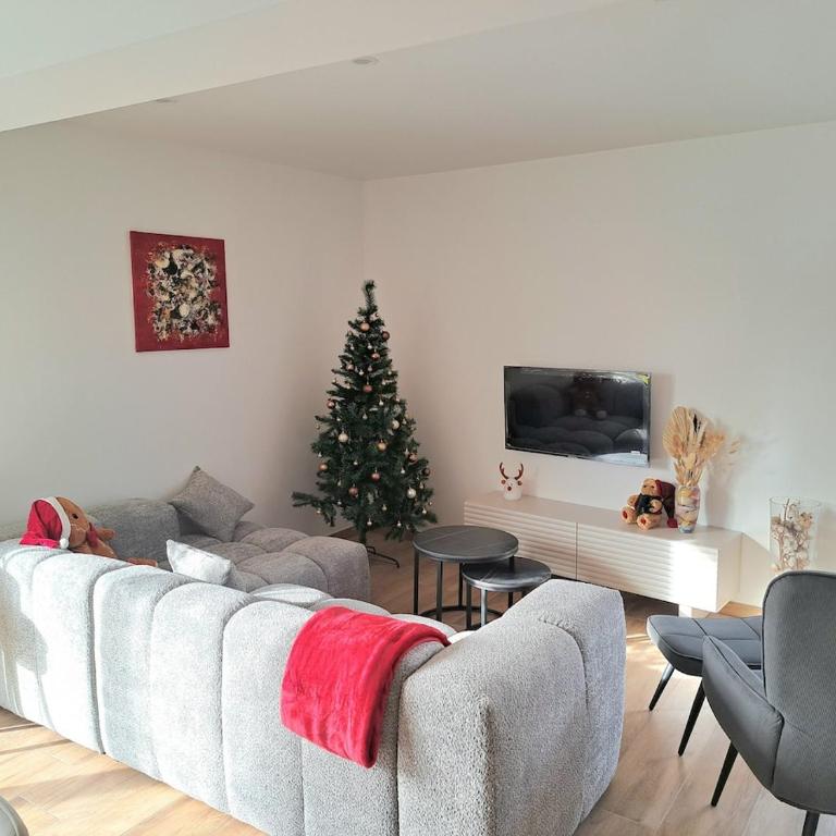 Chez Fernand à Colmar Maison neuve tout confort avec jardin et parking inclus - Maison de Vacances - 26