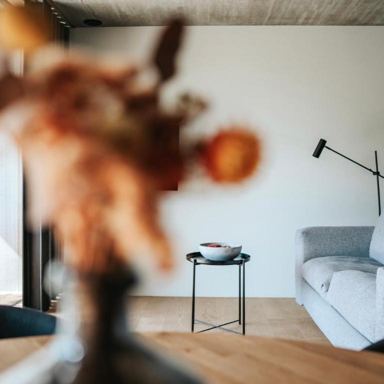 Langstrein Hof - Studio mit Bergblick - 3