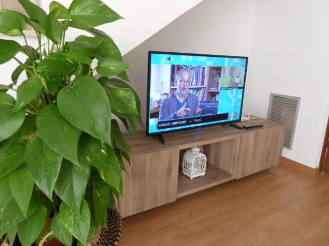 Apartamento Dúplex en Delta de l'Ebre dos terrazas y balcón - Apartment - Split Level - 22