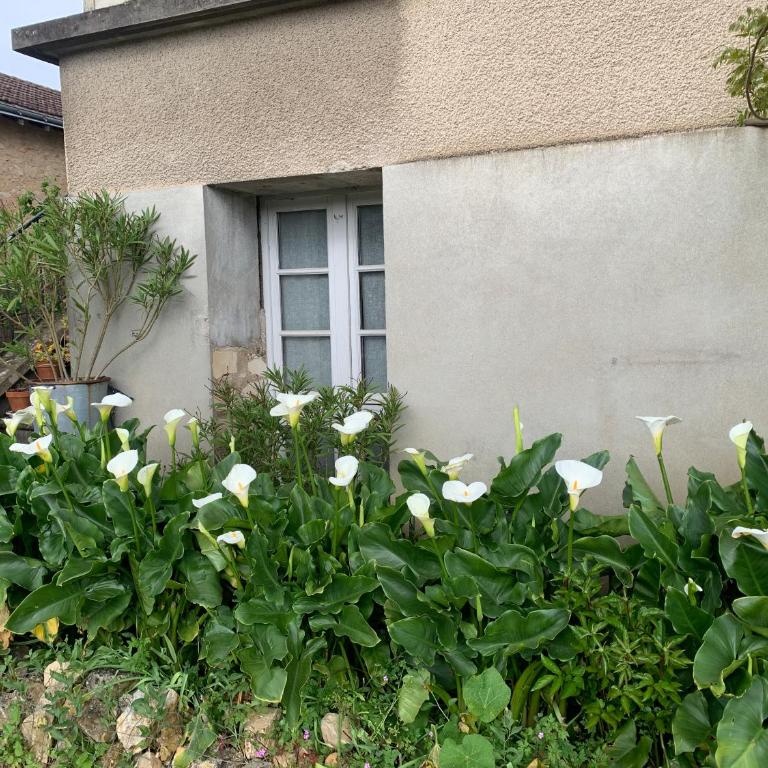 Appartement Les Acanthes 2ch Poitiers centre - Appartement 2 Chambres - 6