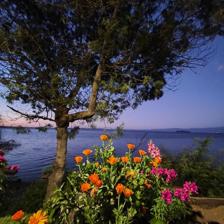 Cabañas Sol y Luna Lago Ranco - Two-Bedroom House - 18