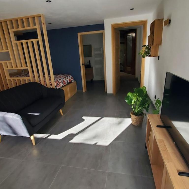 Studio tout confort spacieux et lumineux - Appartement 1 Chambre - 1