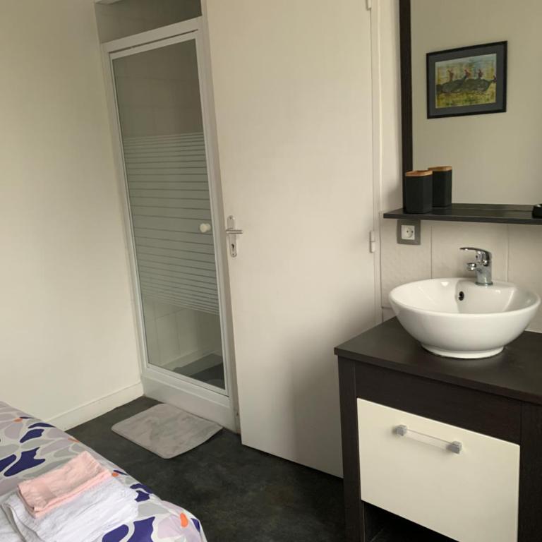 Appartement Les Acanthes 2ch Poitiers centre - Appartement 2 Chambres - 8