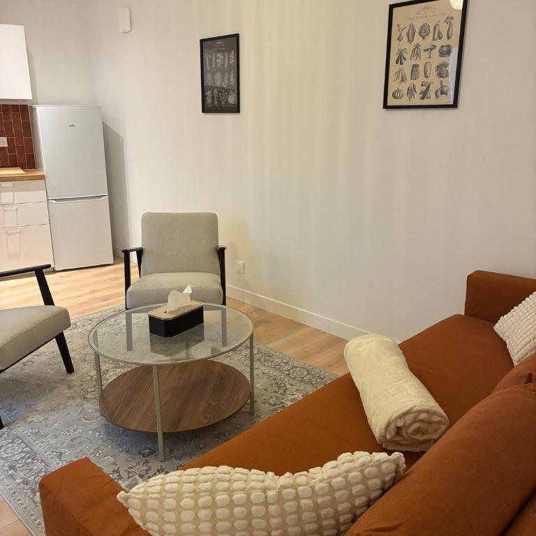 Prestige - appart 8 pers - centre ville Angers - balcon - Apartment - 10