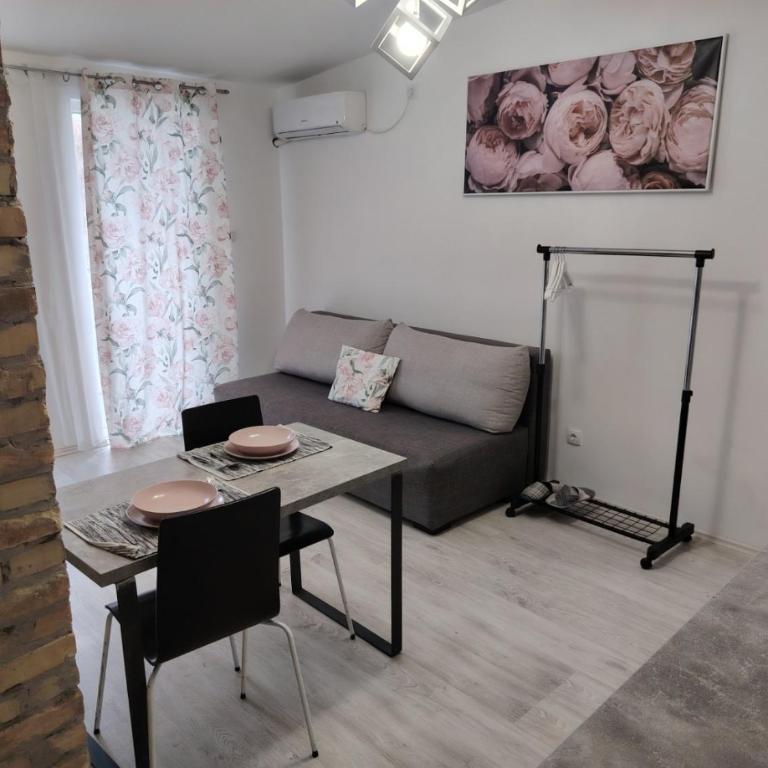 Flora Novi Sad - Apartman sa 1 Spavaćom Sobom - 20