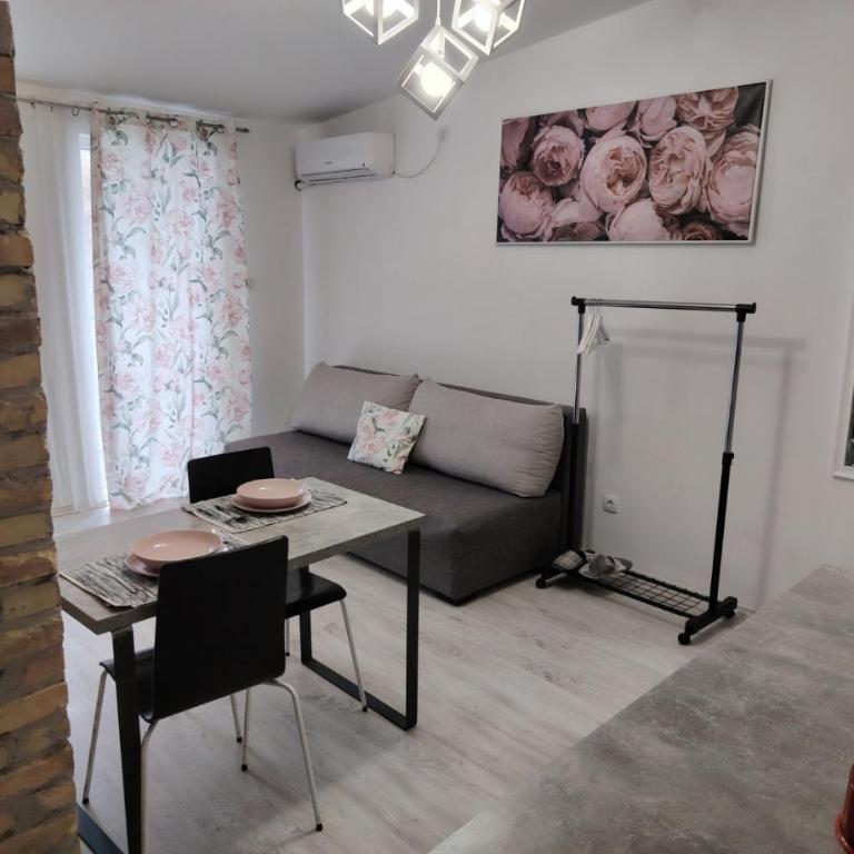 Flora Novi Sad - Apartman sa 1 Spavaćom Sobom - 24