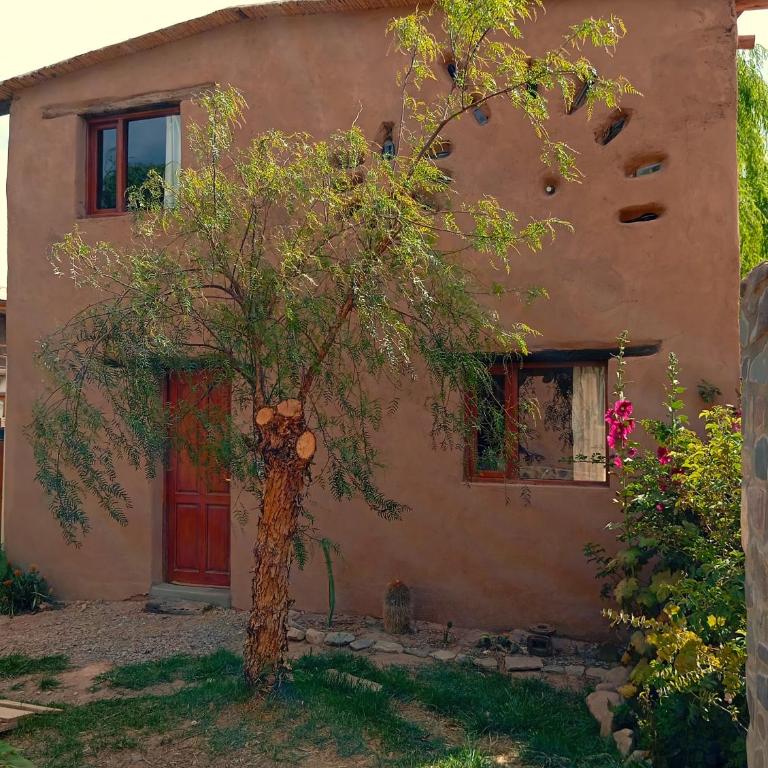 Los Amarantos - Habitación Doble - 17