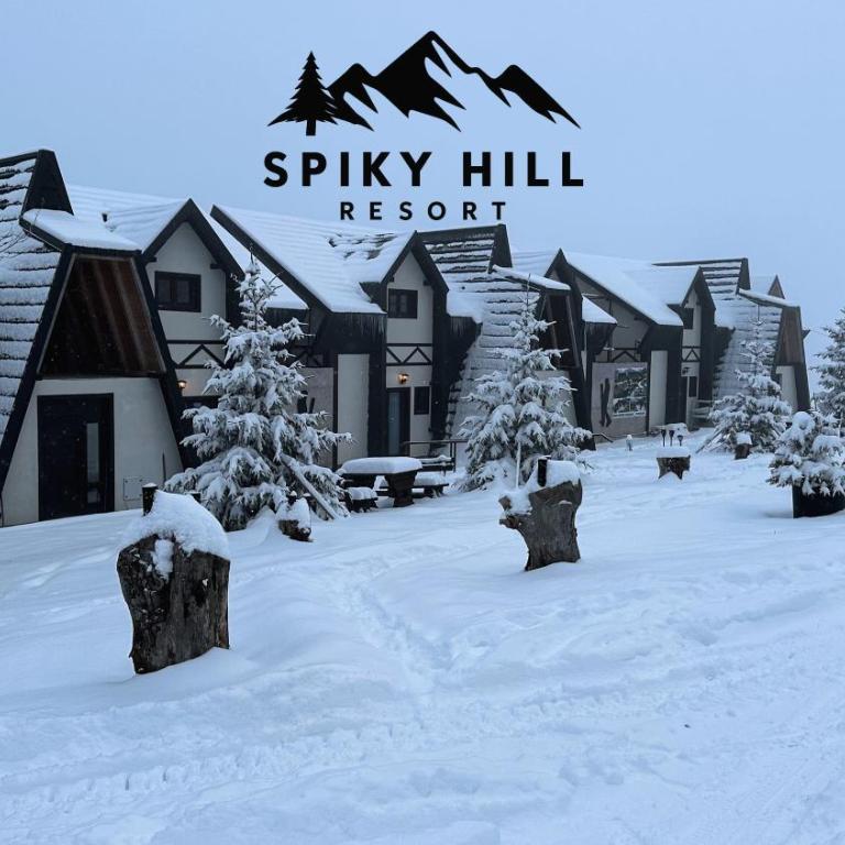 Spiky hill resort - Dupleks Apartman - 9
