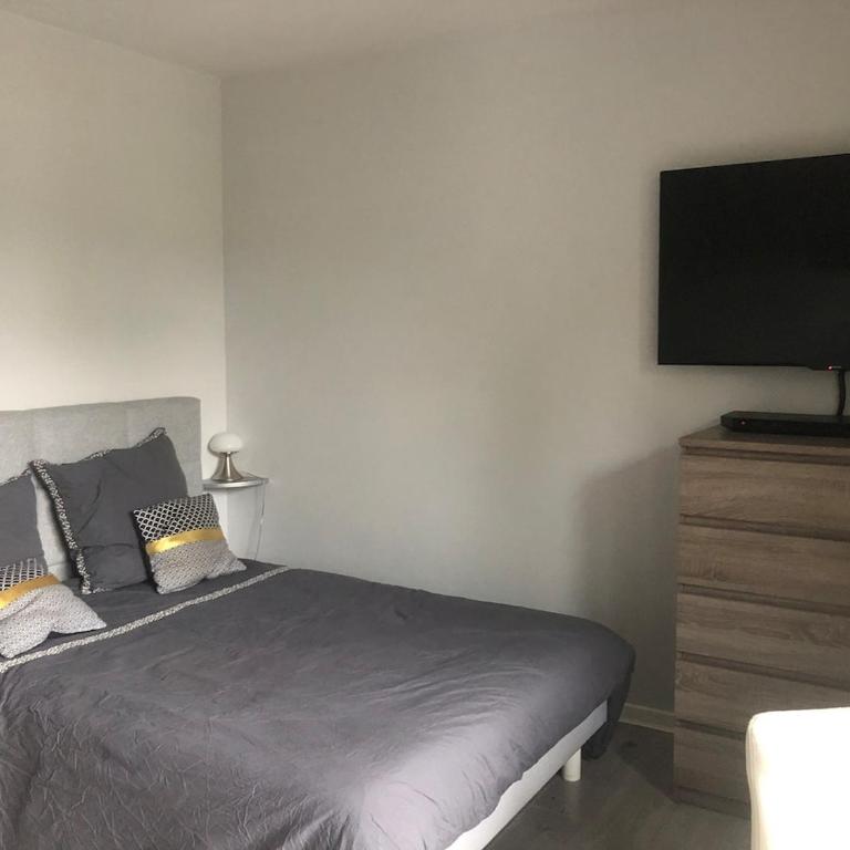 Charmant T1 Annecy velos parking prive - Standard Studio - 6