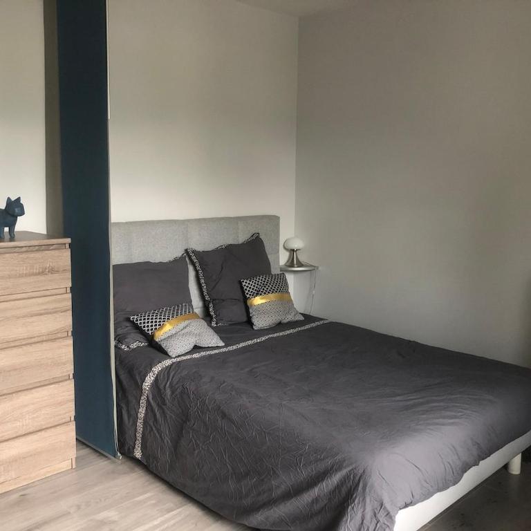 Charmant T1 Annecy velos parking prive - Standard Studio - 13