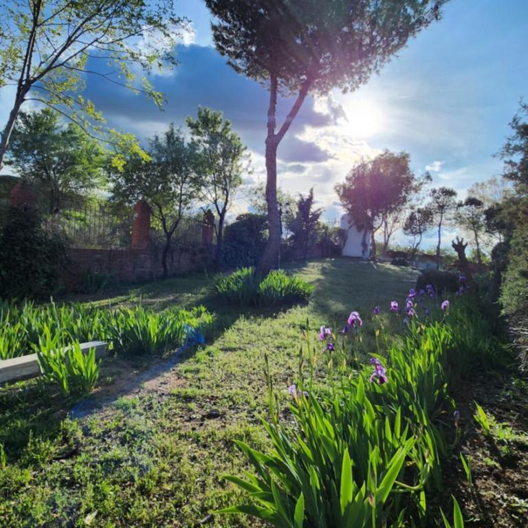 Agroturismo Viña Inés Toledo - Villa - 32