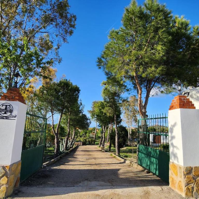 Agroturismo Viña Inés Toledo - Villa - 36