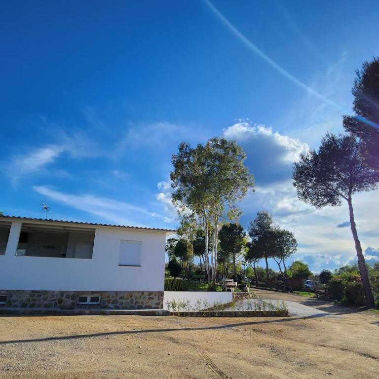 Agroturismo Viña Inés Toledo - Villa - 40