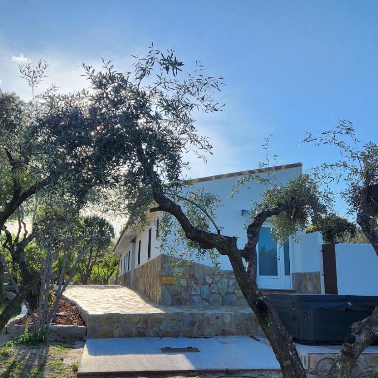 Agroturismo Viña Inés Toledo - Villa - 49