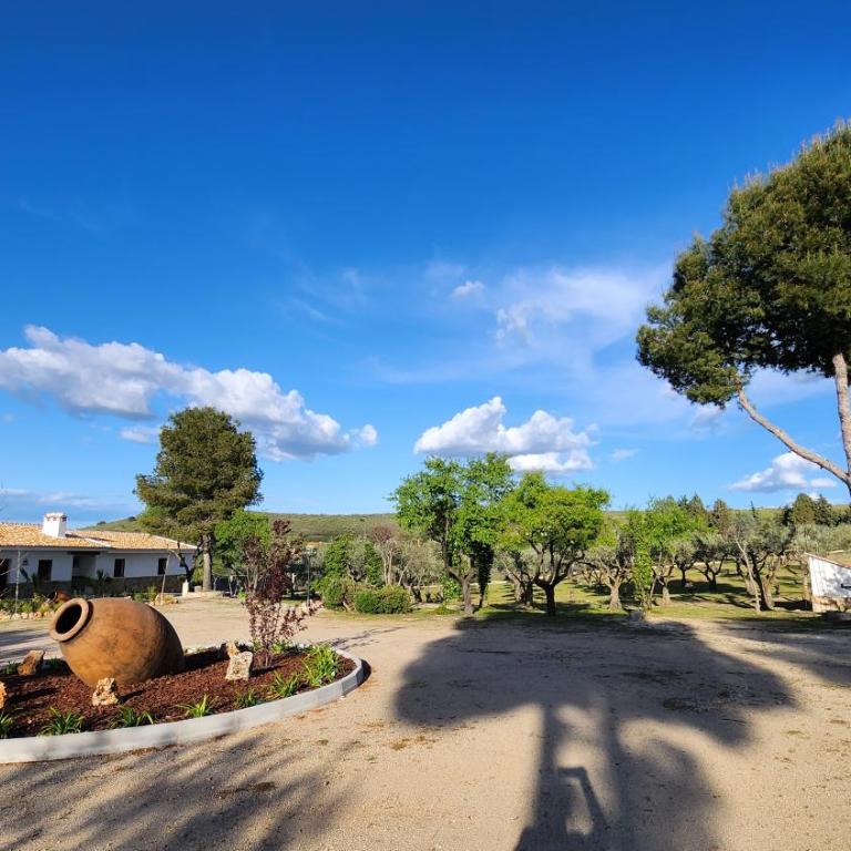 Agroturismo Viña Inés Toledo - Villa - 50