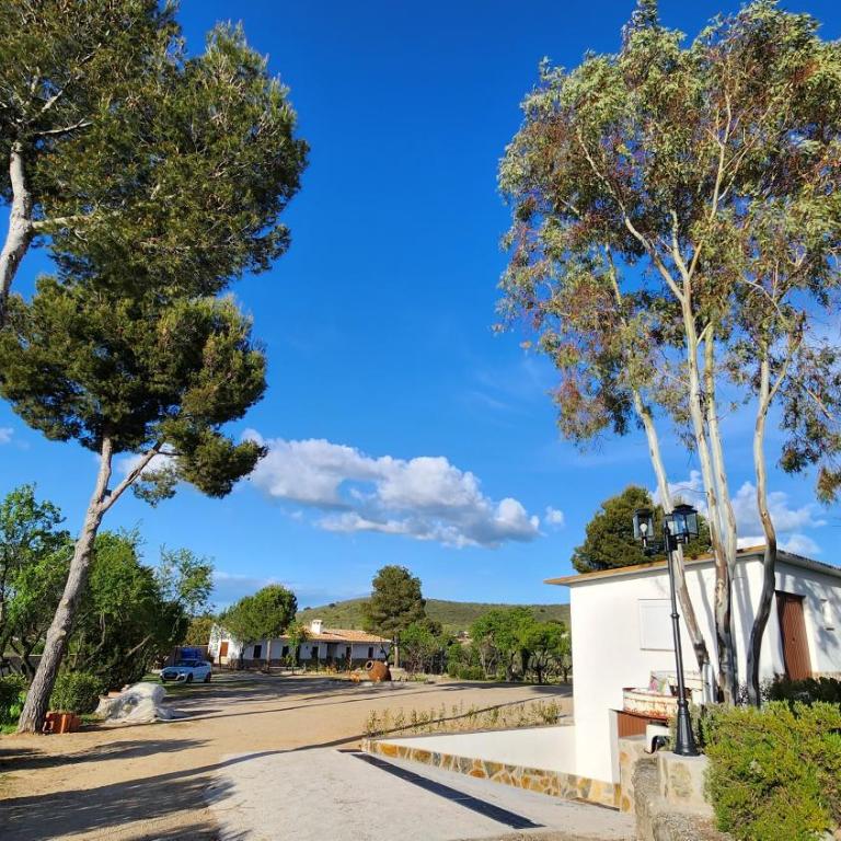 Agroturismo Viña Inés Toledo - Villa - 51