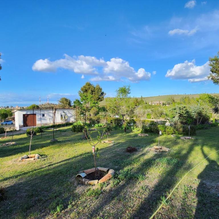Agroturismo Viña Inés Toledo - Villa - 43