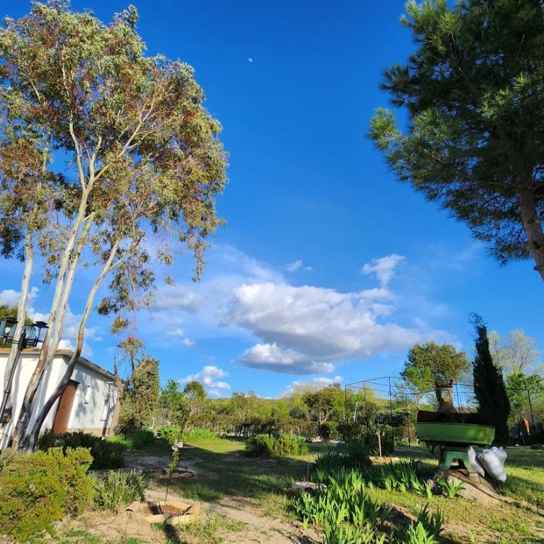 Agroturismo Viña Inés Toledo - Villa - 53