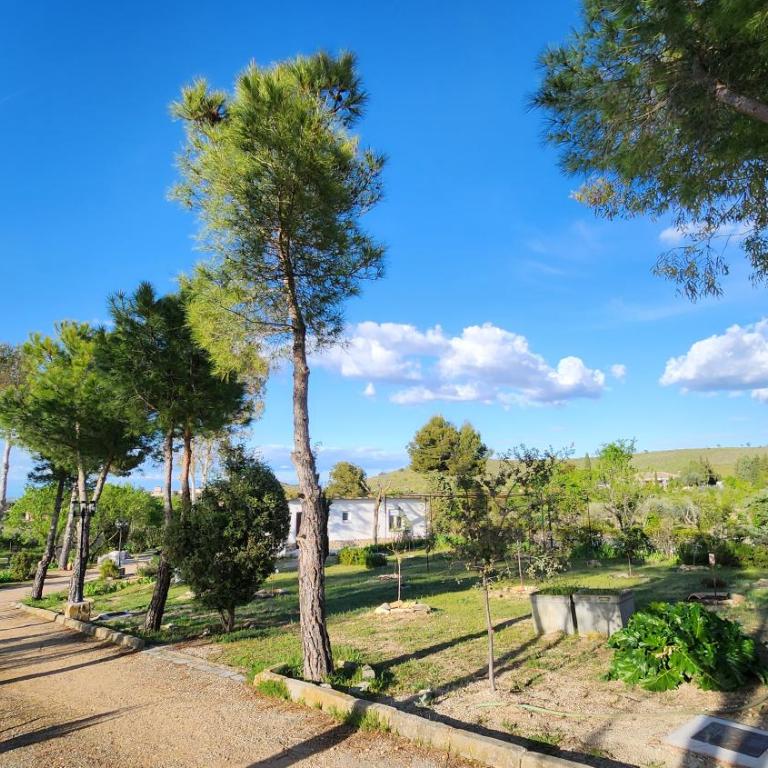Agroturismo Viña Inés Toledo - Villa - 60