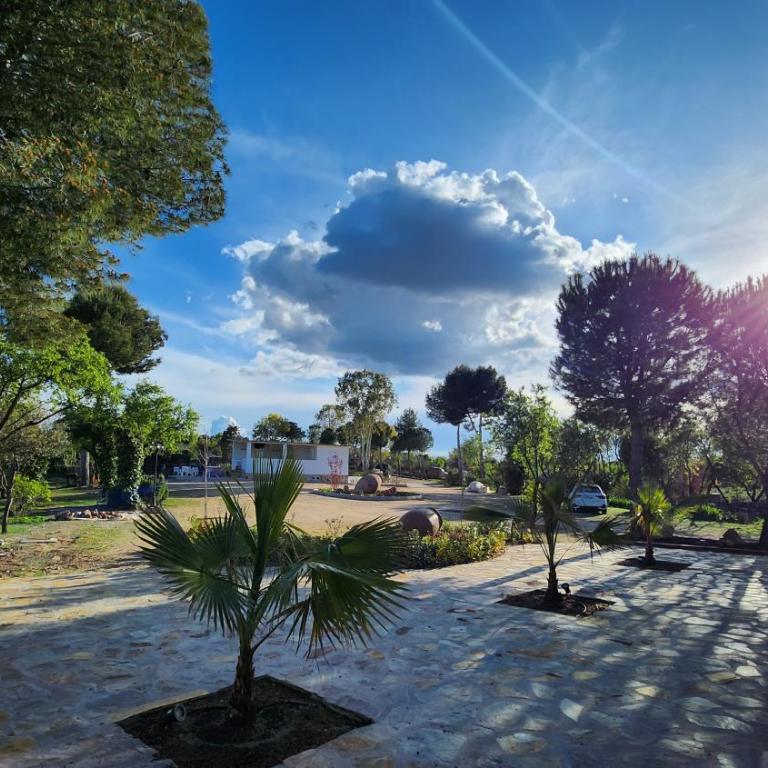 Agroturismo Viña Inés Toledo - Villa - 61