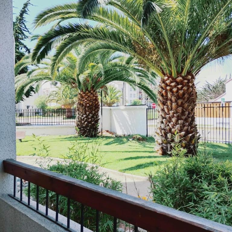 Cómodo y espacioso departamento en La Serena - Three-Bedroom Apartment - 10