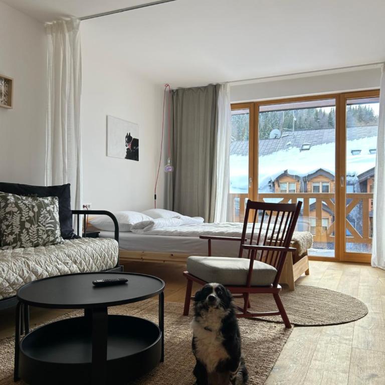 Studio apartment ASKA - Studio with Terrace - 1