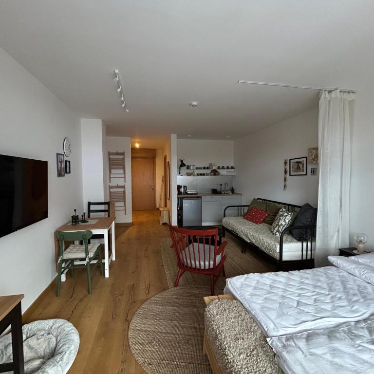 Studio apartment ASKA - Studio with Terrace - 20