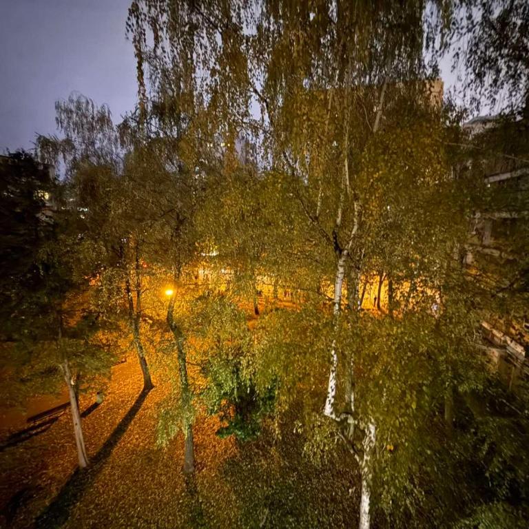 Central Spot BL - Apartman sa 1 Spavaćom Sobom - 10