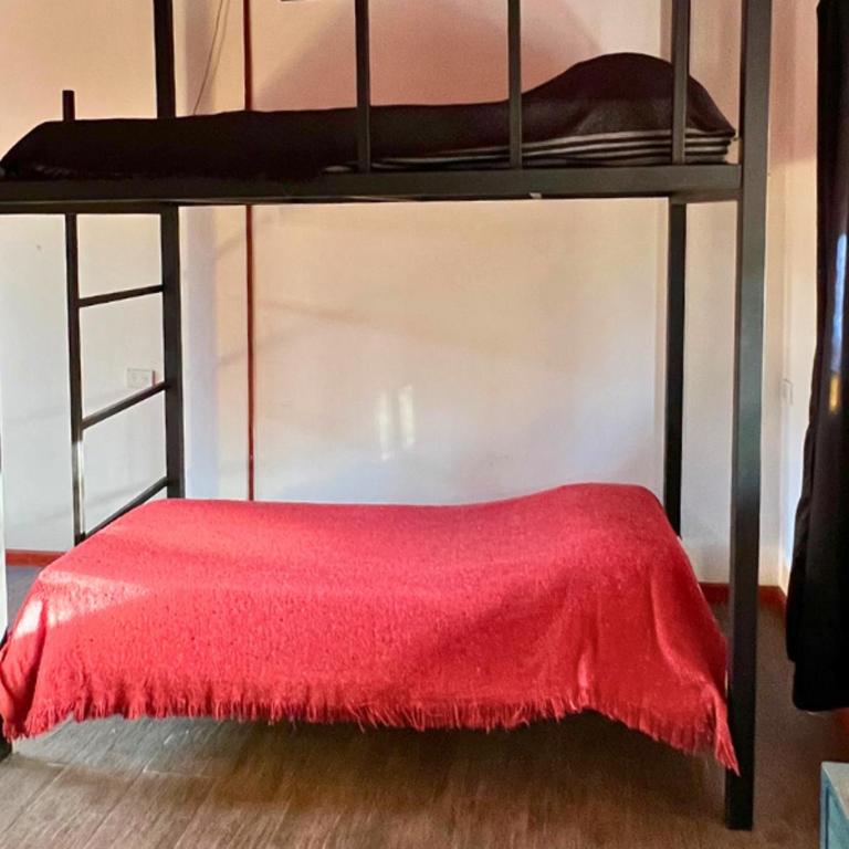 Playa Hostel - Cama en habitación femenina compartida de 4 camas - 1