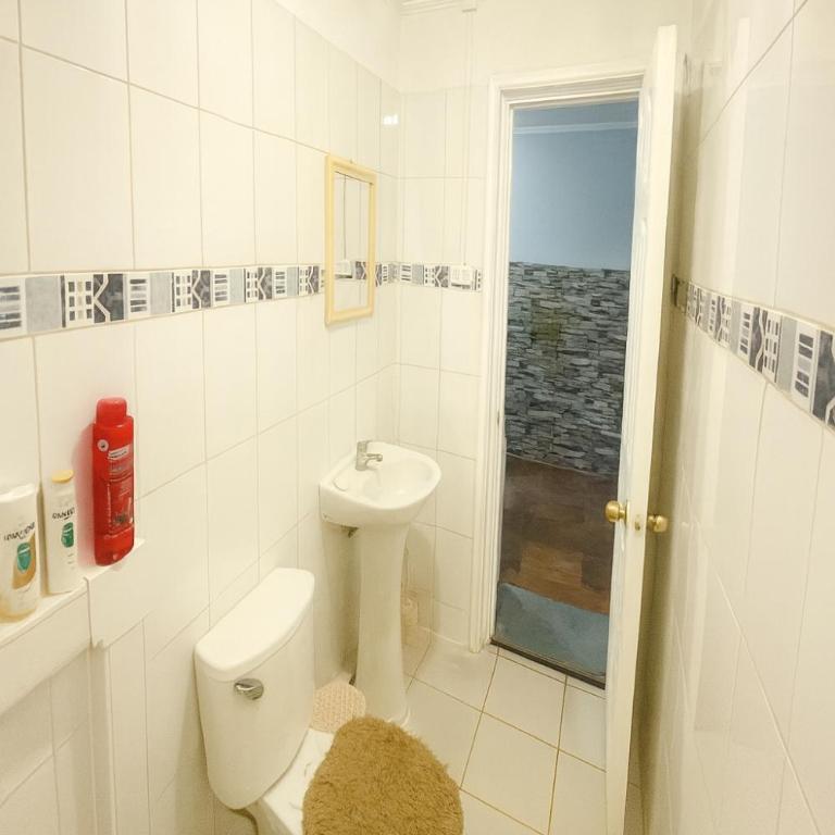 Departamento Cerca Movistar Arena - One-Bedroom Apartment - 9