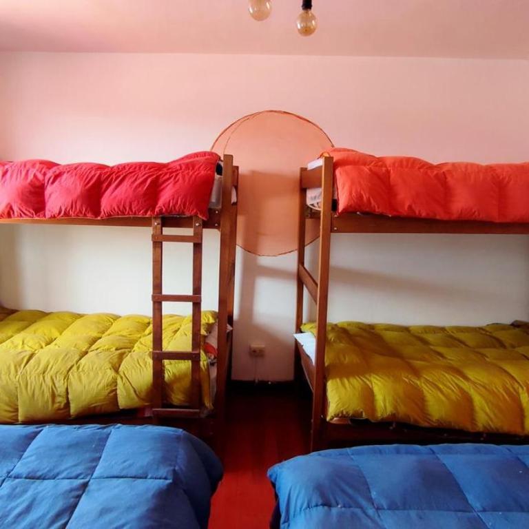 Alegria s House Cusco - Cama Individual en habitación compartida femenina - 2