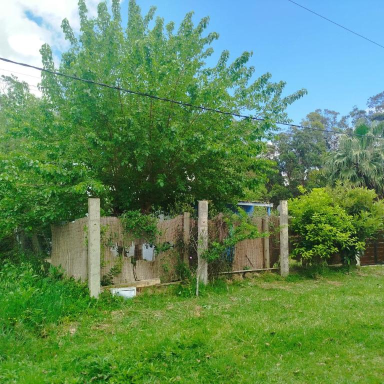 La Pasiflora - Casa de 2 dormitorios - 3