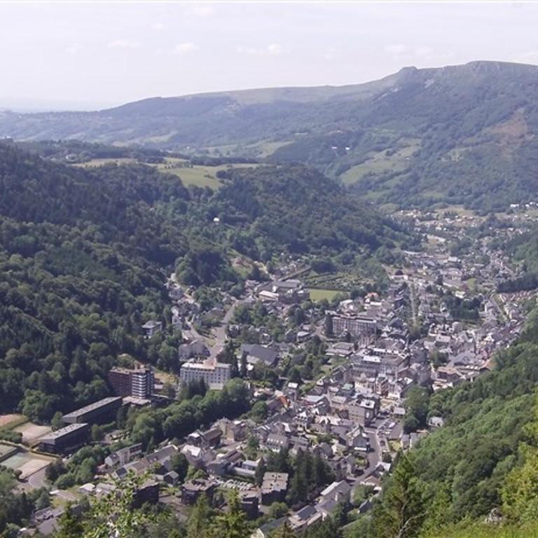 F2 au Mont-Dore avec parking et animaux admis - FR-1-415-171 - Apartment - 10