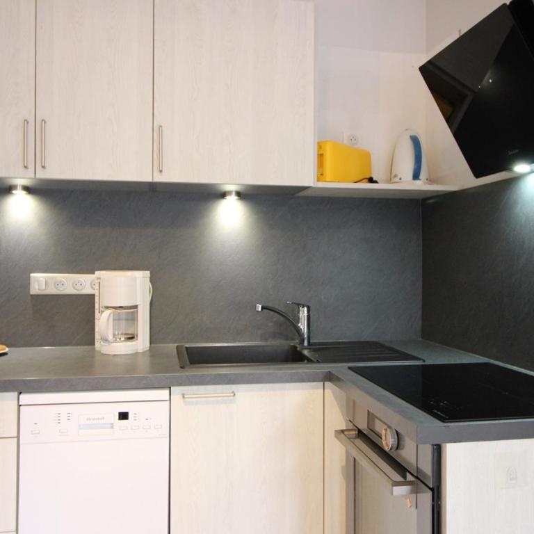 Appartement F2 bis de 50m² au centre, 4 pers., animaux admis, WiFi - FR-1-415-178 - Apartment - 7