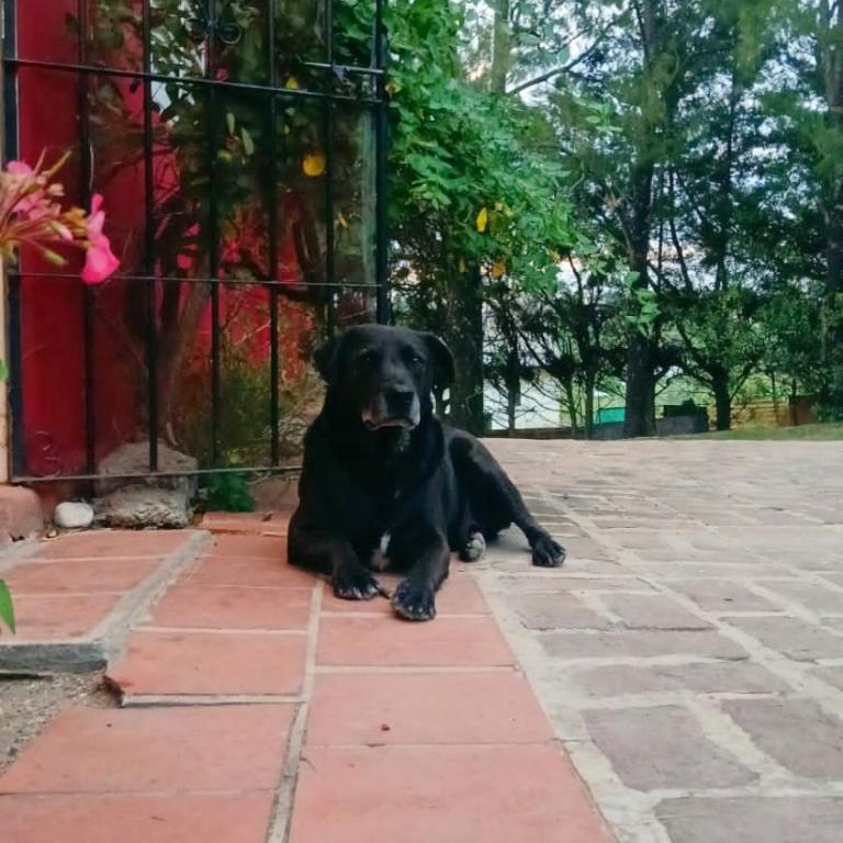 La escondida - Casa de 2 dormitorios - 35