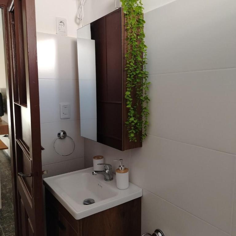 Casa en el centro de Carmelo - Apartamento de 1 dormitorio - 5