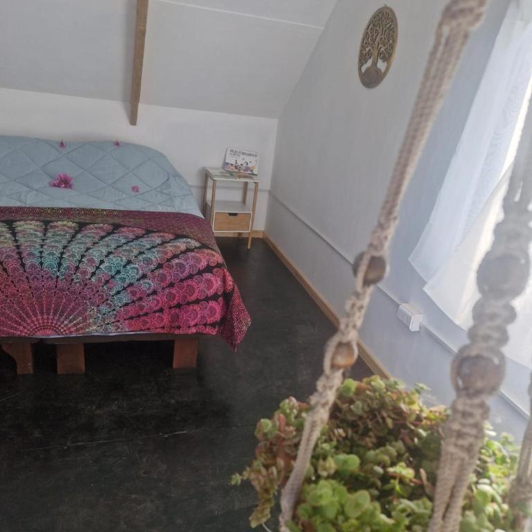 Cabaña Pakarati - Two-Bedroom House - 3